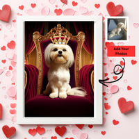 Turn Your Beloved pet into a Queen