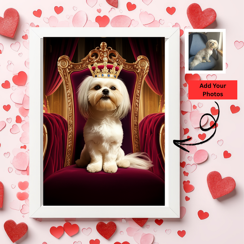 Turn Your Beloved pet into a Queen