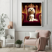 Turn Your Beloved pet into a Queen