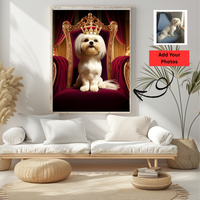 Turn Your Beloved pet into a Queen