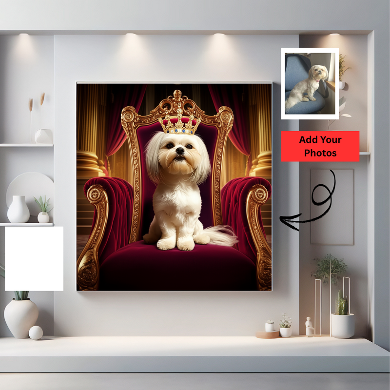 Turn Your Beloved pet into a Queen